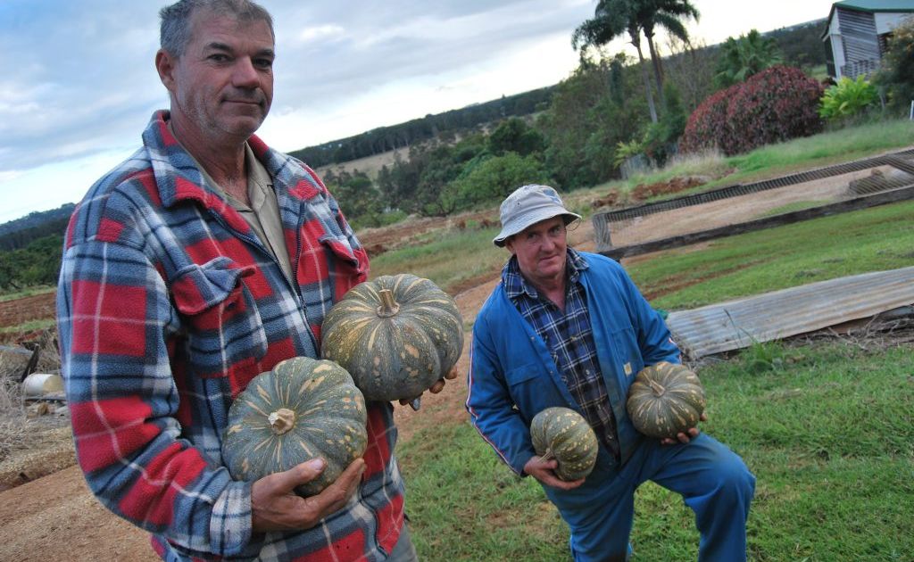 Ross and Frank Julius are hard working produce farmers from Cudgen. Ross and Frank Julius are hard working produce farmers from Cudgen.